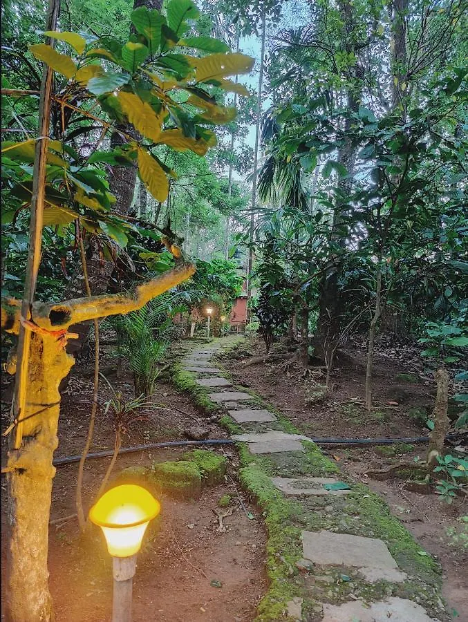 Holiday home Vythiri Wood House Wayanad Villa