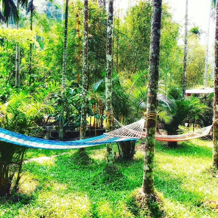Vythiri Wood House Wayanad Villa