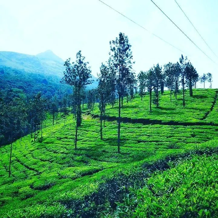 Holiday home Vythiri Wood House Wayanad Villa India