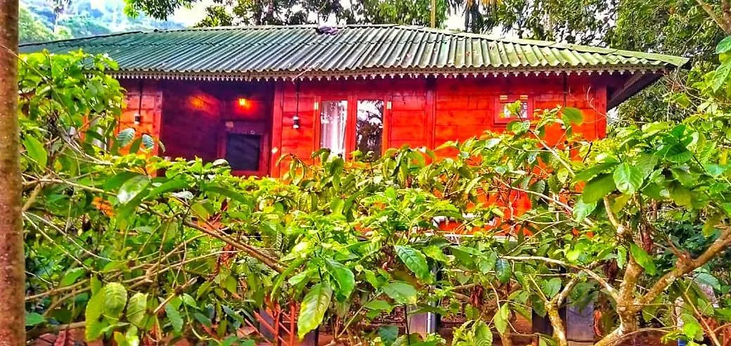 Holiday home Vythiri Wood House Wayanad Villa