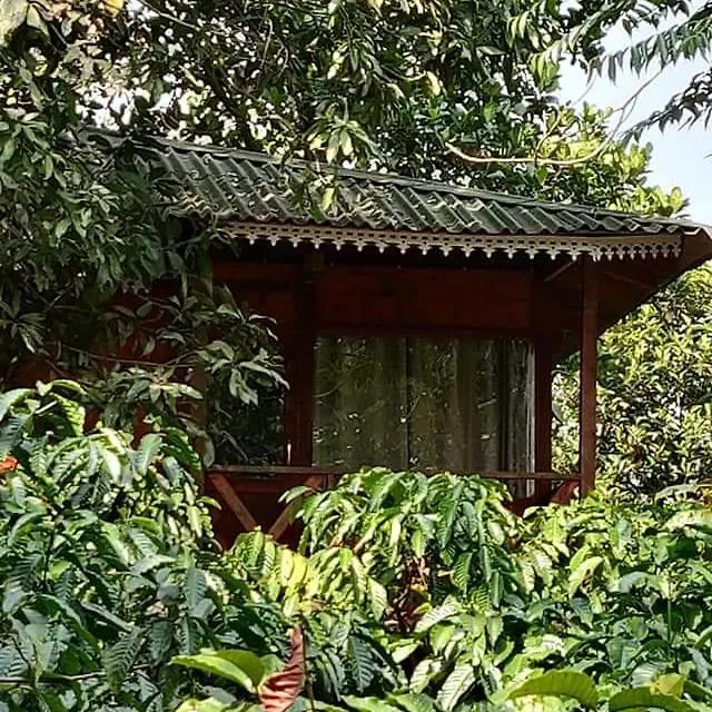 Holiday home Vythiri Wood House Wayanad Villa India