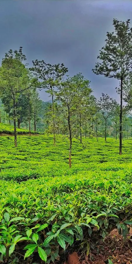Vythiri Wood House Wayanad Villa India