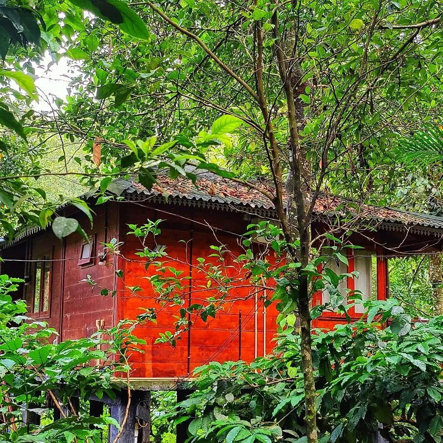 Vythiri Wood House Wayanad Villa