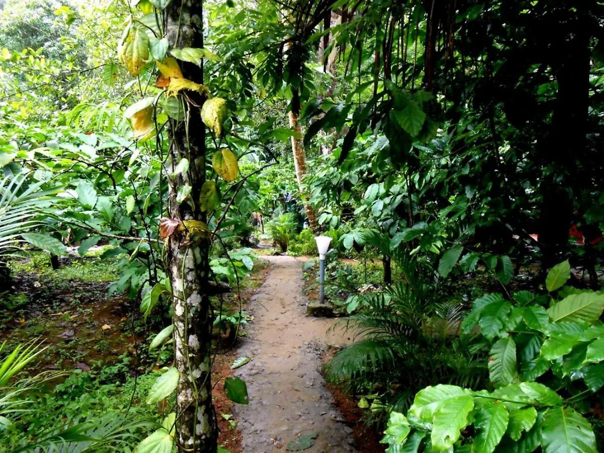 Vythiri Wood House Wayanad Villa