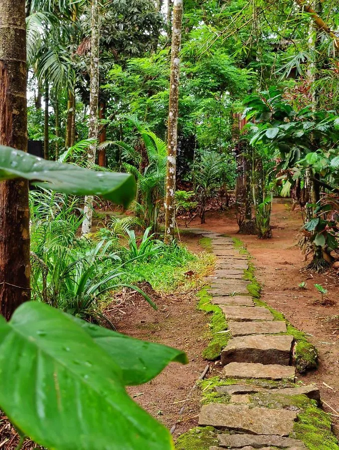 Vythiri Wood House Wayanad Villa