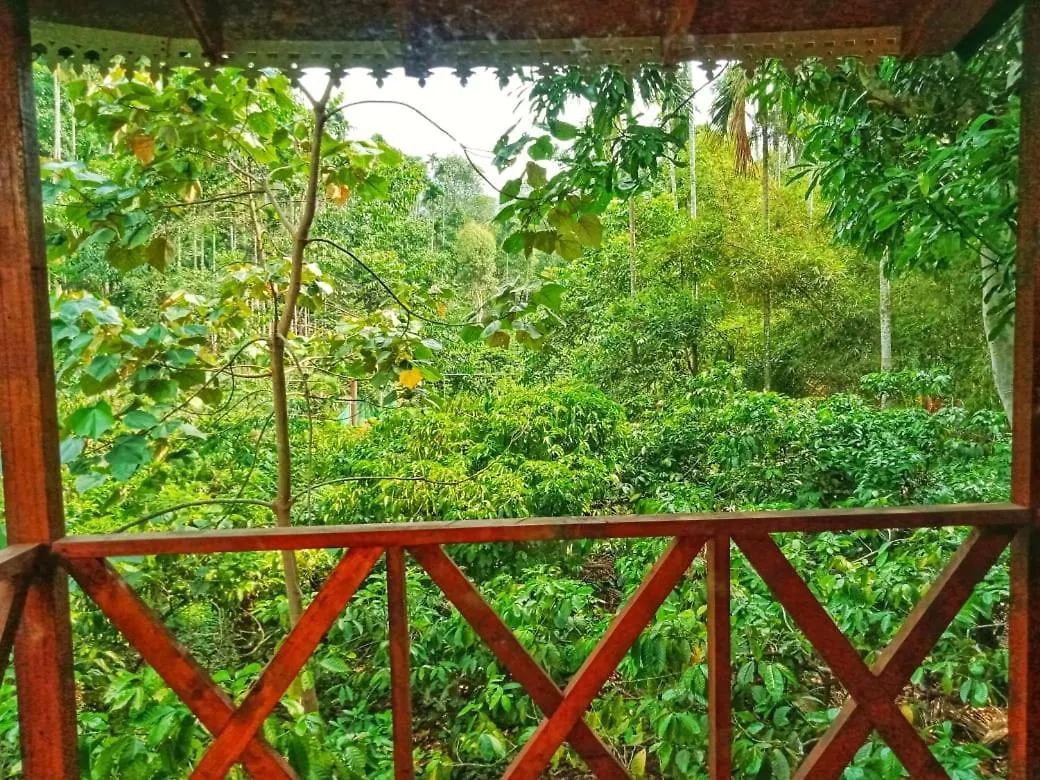 Vythiri Wood House Wayanad Villa Holiday home