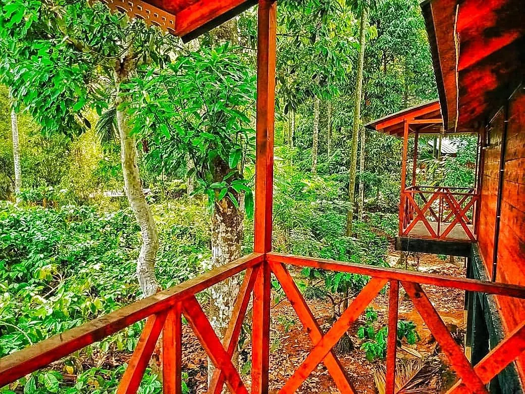 Vythiri Wood House Wayanad Villa