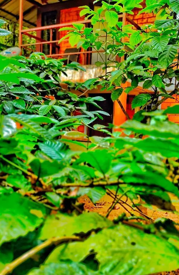 Holiday home Vythiri Wood House Wayanad Villa
