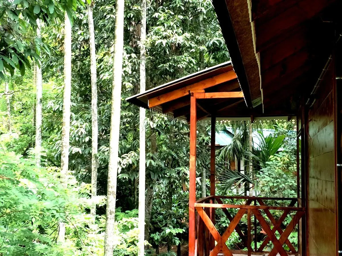 Vythiri Wood House Wayanad Villa 0*,