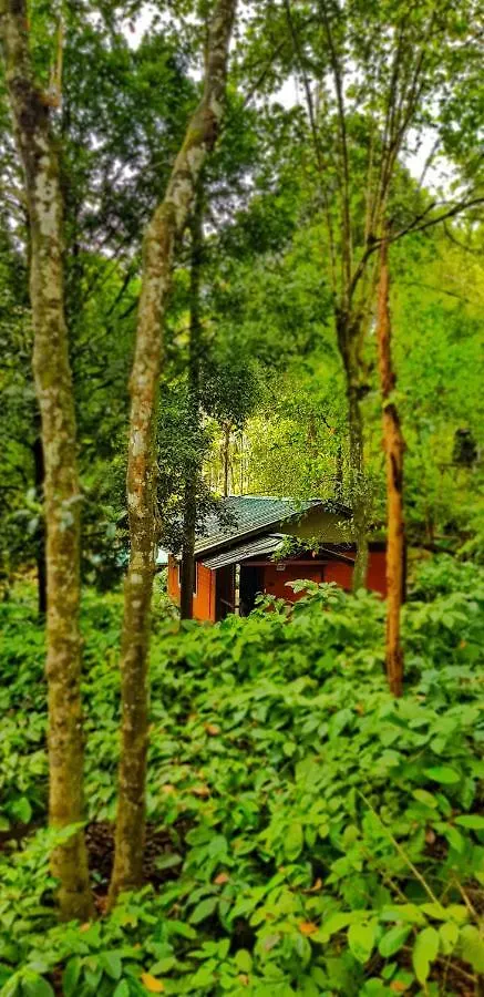 Vythiri Wood House Wayanad Villa 0*,  India